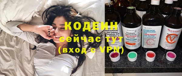 хмурый Белокуриха